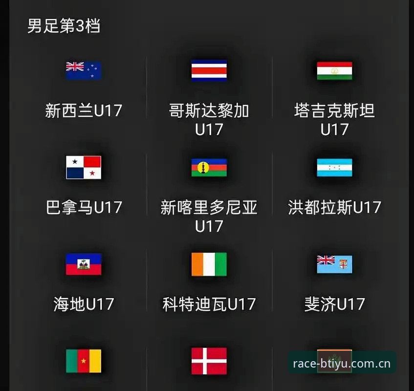 B体育体验 掌握U17世界杯观赛实用技巧,从抽签解读到赛事体验全攻略